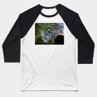 Stand under the trees in autumn to experience colour Baseball T-Shirt